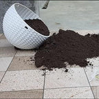 Organic Vermicompost 200gm for Plants & Gardening Use