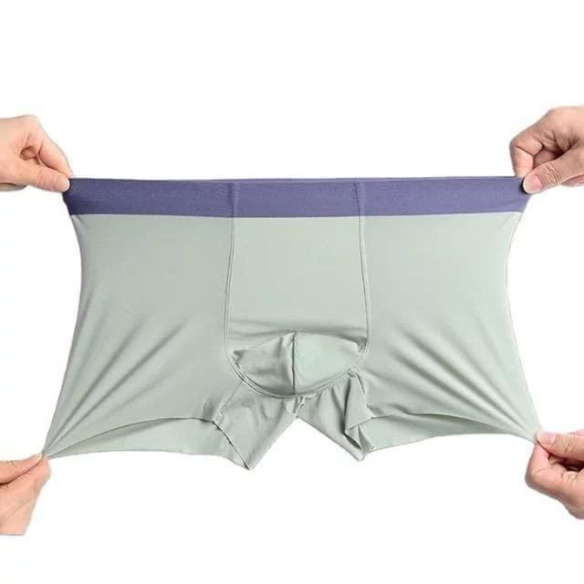 Men’s Ice Silk Briefs Boxers (Pack of 5) | Innerwear