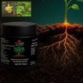 Soil Activator 200gm for Healthy Soil & Plant Growth