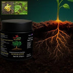Soil Activator 200gm for Healthy Soil & Plant Growth