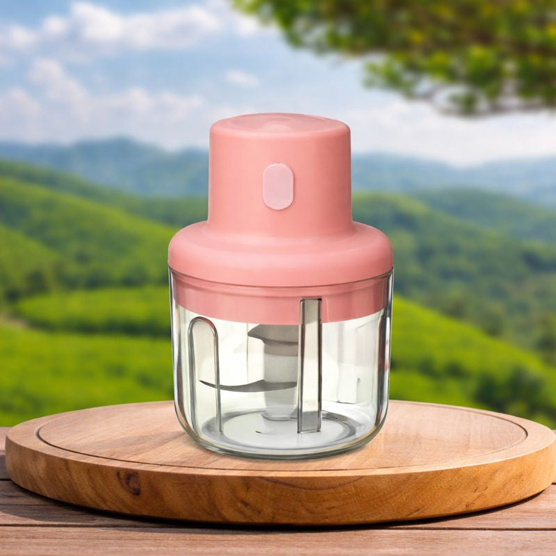 Electric Mini Garlic Chopper 250ml | USB Vegetable Chopper
